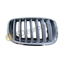 BMW Right Front Radiator Grille – X5, X6 (51137185224)