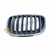 Grille Left Front - Kidney, BMW X5 X6, E70 E71