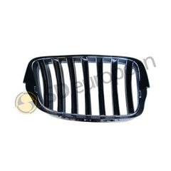 Grille Left Front - Kidney, BMW X5 X6, E70 E71