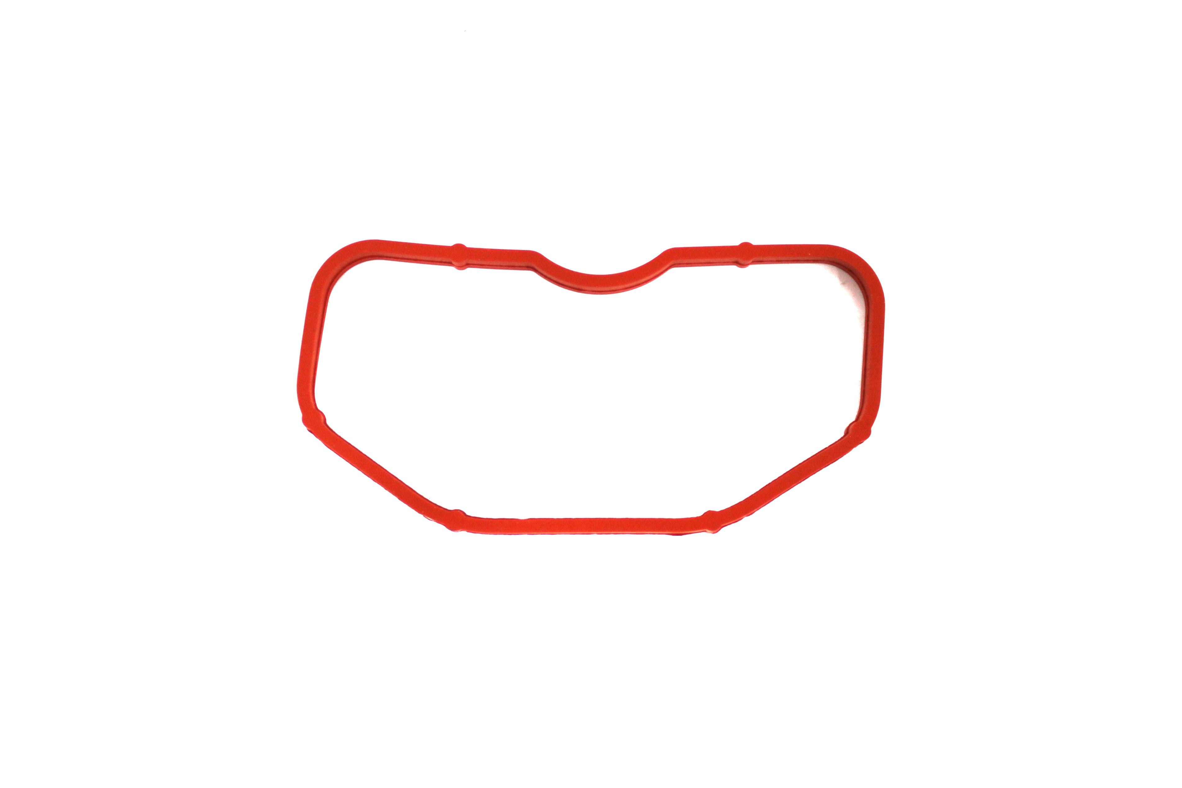 Intake Manifold Gasket, Audi, Porsche & VW 4.2 V8 5.2 V10 (079129717B) (Topran)