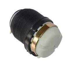 Air Suspension Strut (Single) – Audi A6 C6, Allroad (4F0616001J)