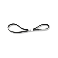 DRIVE BELT