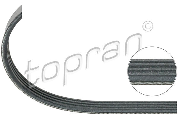 Driving Belt – Audi, BMW, Skoda, VW (OEM 109660)