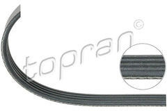Driving Belt – Audi, BMW, Skoda, VW (OEM 109660)