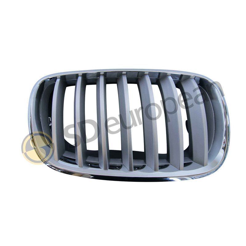 Grille Right Front - Kidney, BMW X5 X6, E70 E71