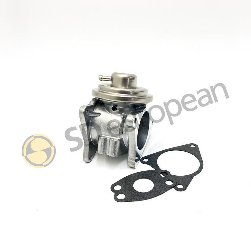 EGR Valve 038131501AN, fits Volkswagen, Audi, Seat & Skoda 2001 - 2013