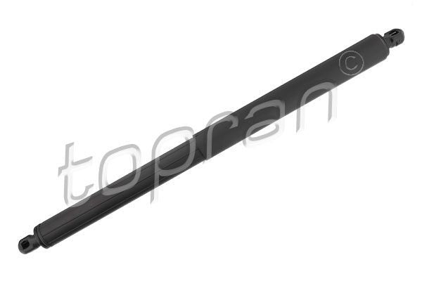 Tailgate Strut, Fits BMW X5 - 51247177283