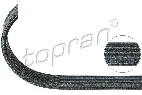 Drive Belt 022145933P, fits Volkswagen & Audi 2003 - 2018