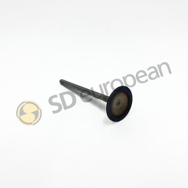 Engine Inlet Valve, Fits A Range Of Audi, Seat, Skoda & VW 2001 - 2011